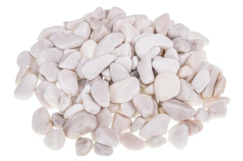 Otoczak Biały White